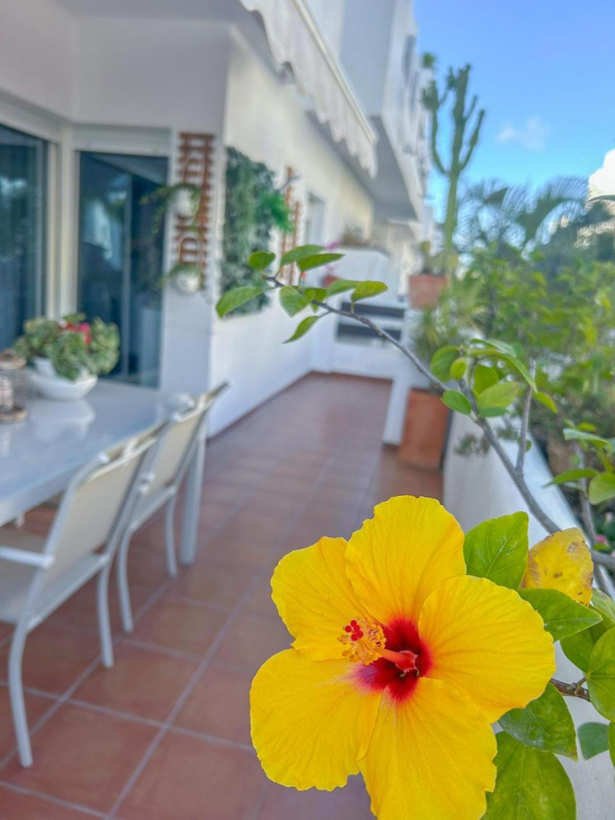Lägenhet Golf Valle Estepona